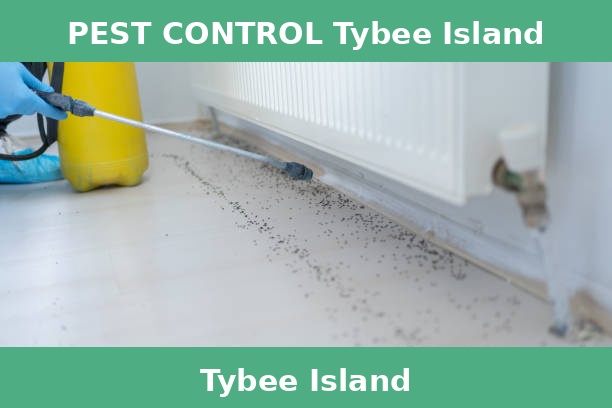 PEST CONTROL Tybee Island